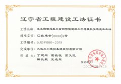 1-20111Q1251M06-lp