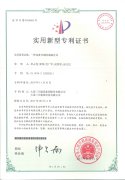 1-2011241A252216-lp