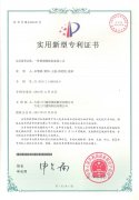 1-2011241A355460-lp