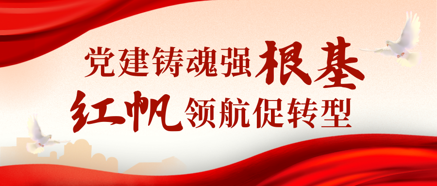 党建铸魂强根基 红帆领航促转型(图1)