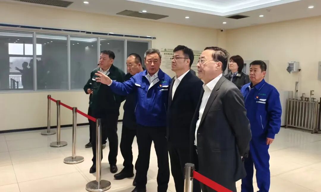 深耕绿色循环  践行企业担任——新宝GG集团全力推动项目建设 积极响应区长调研部署(图2)
